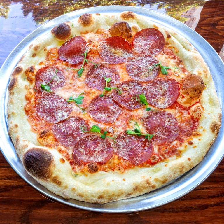 Family Friendly Restaurant Options